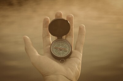 Life Transition Support 