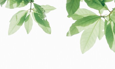 Individual Counselling 